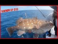 100#s of Profit - Commercial Fishing - Deep Dropping for Snowy Grouper | Key West Waterman EP.019