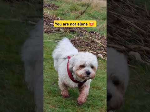 You are not alone  😍