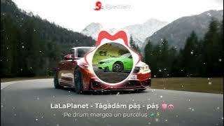 LaLaPlanet - Tâgâdâm pâș - pâș 🐷🐽 | Pe drum mergea un purceluș 🚜🌾👨‍🌾(Bass boosted)