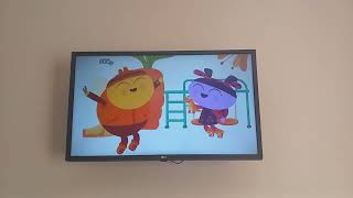 Lu And The Bally Bunch On Rtéjr May 21St 2025