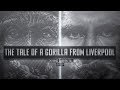 The Tale Of A Gorilla From Liverpool - A Darren Till Film