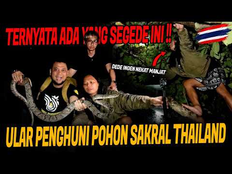 DEDE INOEN NEARLY GETS POSSESSED AFTER RECKLESSLY HUNTING FOR SNAKES AT NIGHT IN THAILAND!!