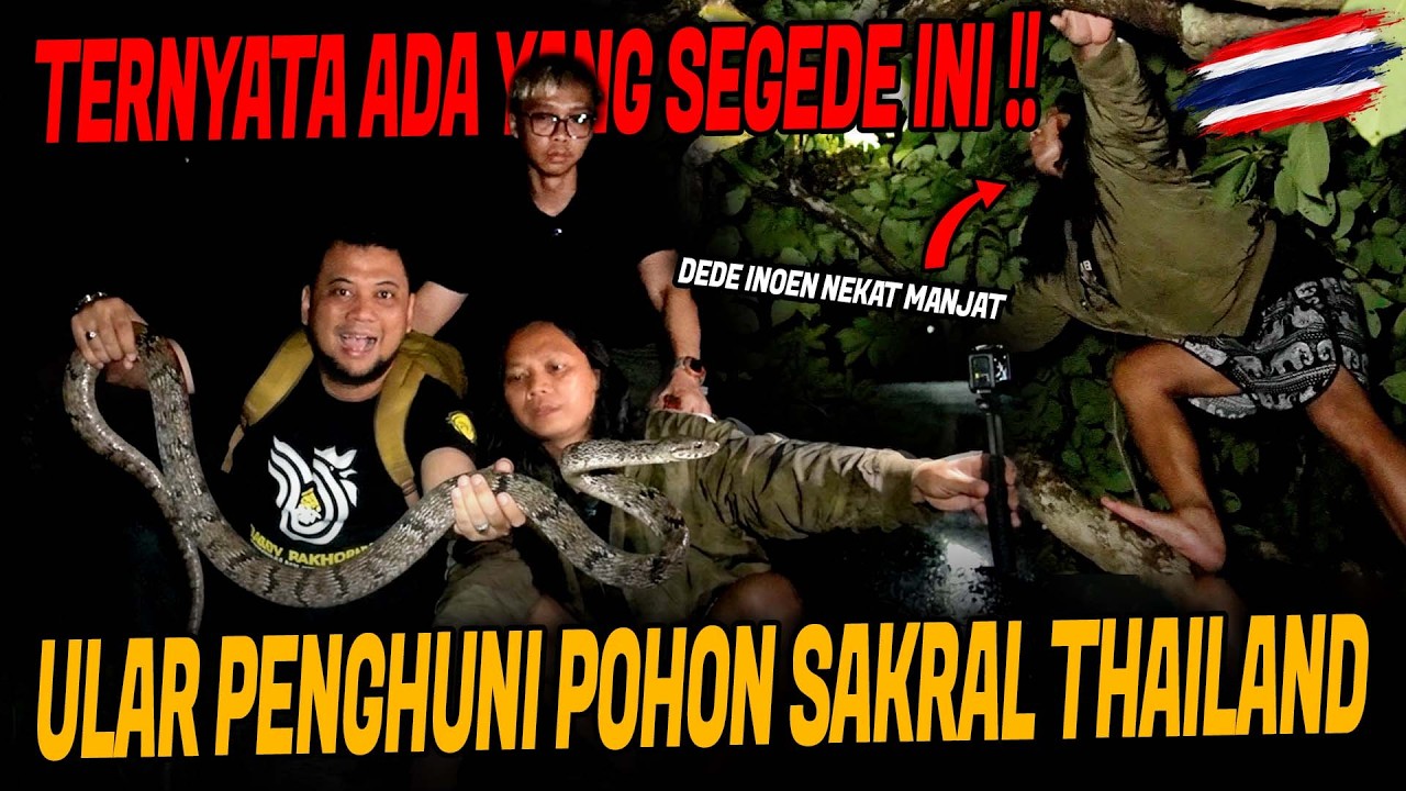 Latest Title & Thumbnail