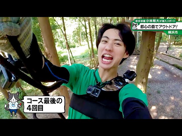 猫のひたいほどワイド #1311 リポート大賞・小林希大「樹木の上