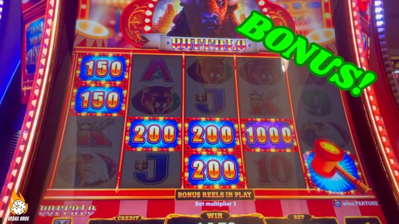 Buffalo Gold vs Jackpot Carnival Slots! Which Bonus Is Better?