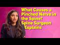 What Causes a Pinched Nerve in the Spine  Spine Surgeon Explains