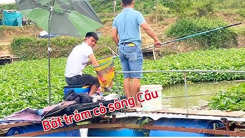Cá sông mượt thật, Bè Trường Sơn 50k