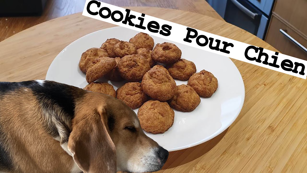 FRIANDISES POUR CHIEN au POULET - YouTube
