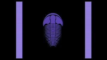 #C64  Arthrobob /Fossil 4K demo