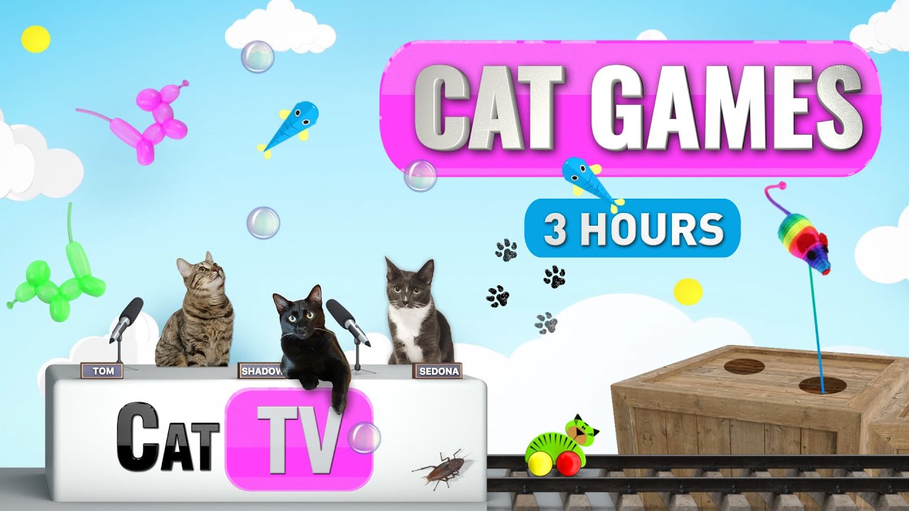 Cat Games Ultimate Cat TV Compilation Vol 5 3 HOURS 🦎 🐠 🐹 🐟 🎉 YouTube