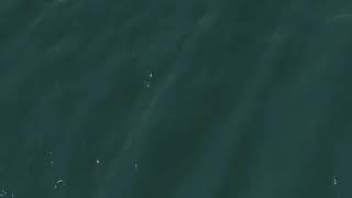 Sunda Megathrust Ilustrasi Tsunami 20 Meter By Noaabroll