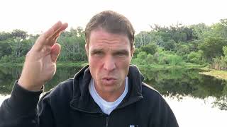 Cravings Are The Gateway To Chronic Illness Symptoms