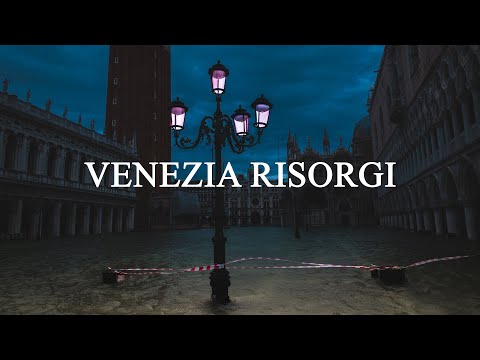 Video: Filmfestivalen i Venezia har åpnet