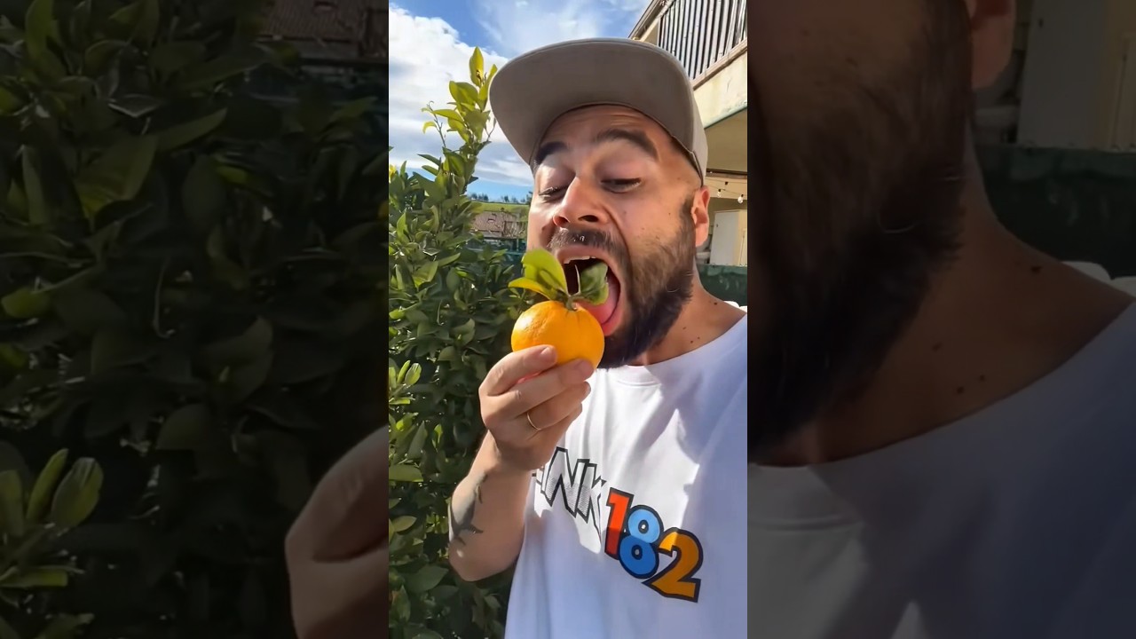 Want to try my oranges? 🤤🍊 