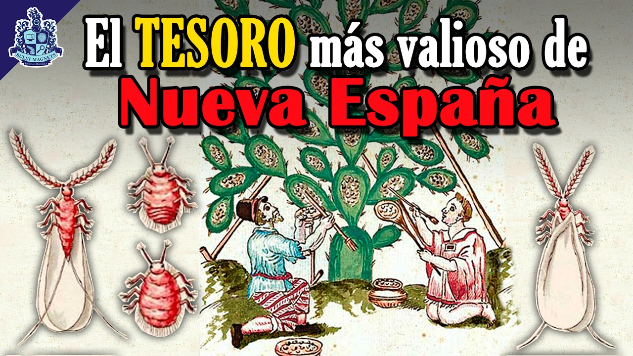 El color Rojo Mexicano 🔴 La grana cochinilla Bully