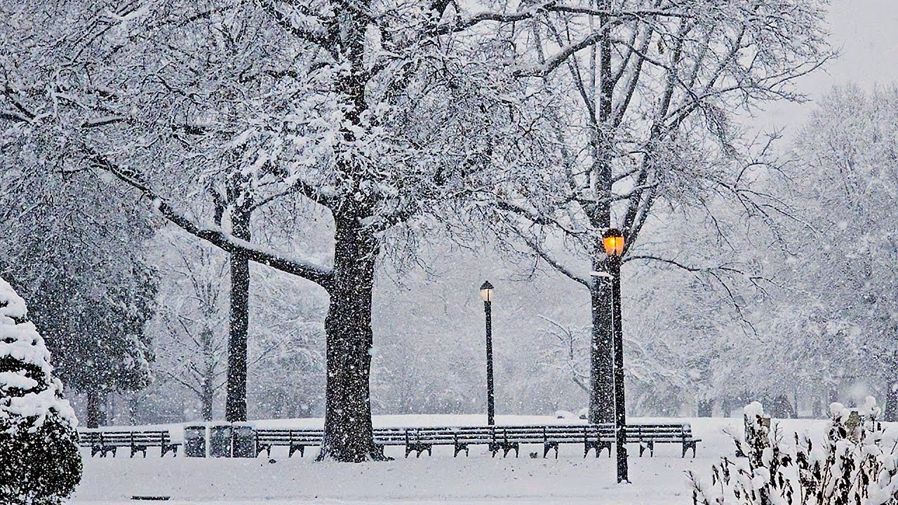 First Snowfall of 2025  in NYC | Quiet Winter Walk Through Corona Park