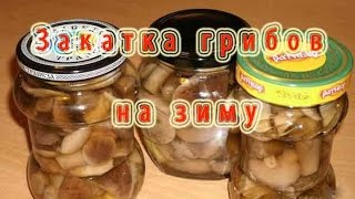 Закатка грибов на зиму Закатка грибов на зиму