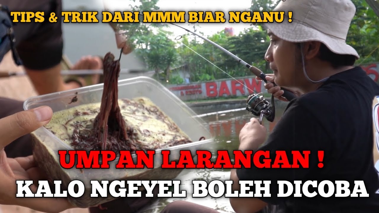 RACIKAN CINGBUN NON ESSENCE ! BUAT PEMANCING BARBAR !. TIPS & TRIK ALA MMM BIAR GAK GAMPANG PUTUS  !