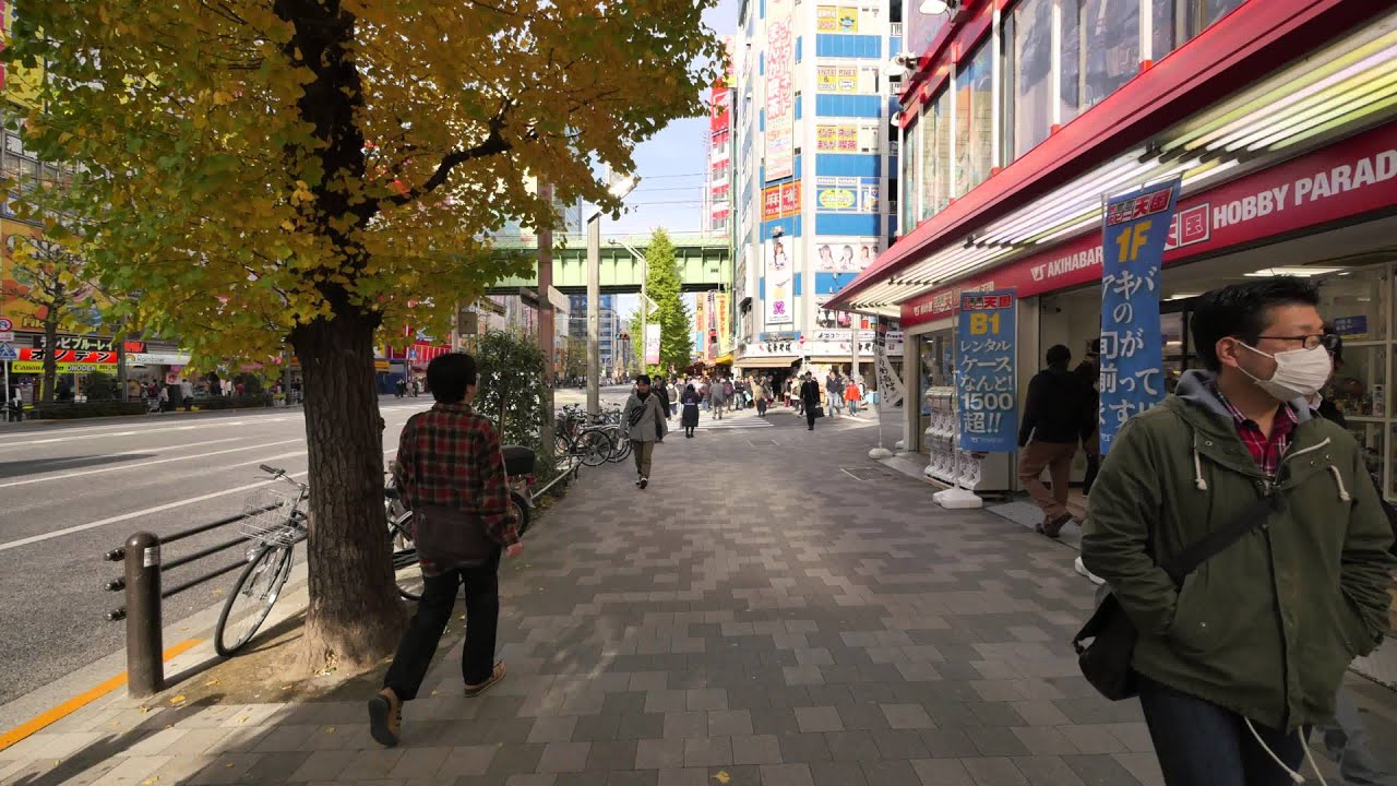 Small hyperlapse of Akihabara in 4K