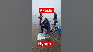 Địa điểm câu  cá  hố  ở nhật bản #fishing