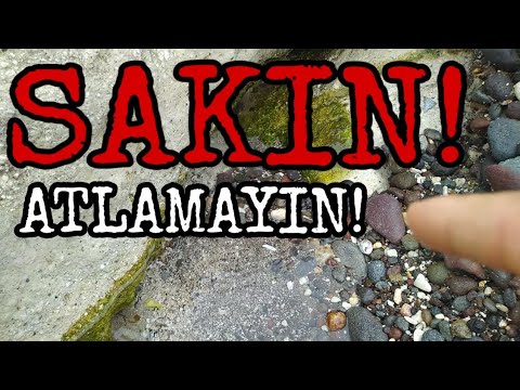 Video: Alabaster: uygulama ve özellikler