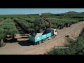 Vol drone ppinire agrotcnica fr