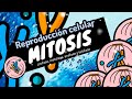 MITOSIS/Nivel experto EN 5 MINUTOS/GUIA EXAMEN UNAM-IPN