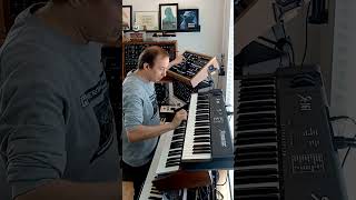 THE SYNTHR10 emits a "PULSAR" #vangelis #electronicmusic #synthesizer #sounddesign #analogsynth