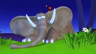 Gazoon: Mystery Night | Funny Animals Cartoons by HooplaKidz TV