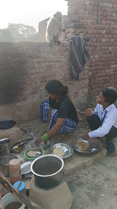 #funny #monkeychallenge #monkeycomedy #comedy #bolleywoodsong #monkeymovies #monkey #monkeyvideos