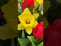 Ramo primaveral #FloristeriaMontmartreFleurs #flyy #Viral #ramos #flowers www.montmartrefleurs.com