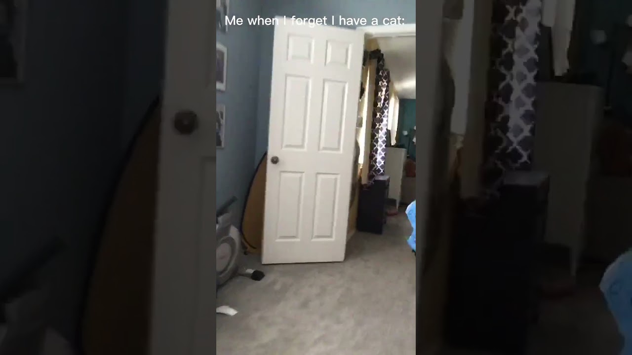 Kylo is so cute 🧌