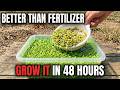 Grow Unlimited Plant Steroids In A Bucket. Doubles Every 48 Hours. The 5 Min Setup.