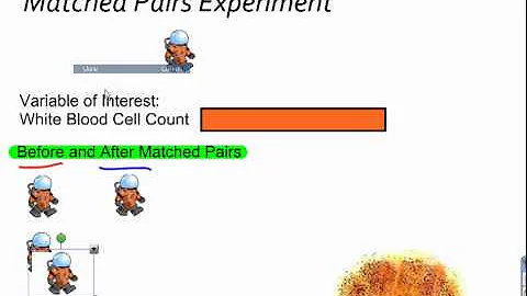 Matched Pairs Experiment