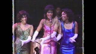 Los Lobos 1987 La Bamba Party [complete]