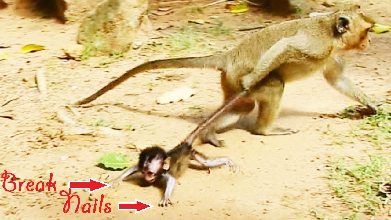 foundry Nails Broken, Danaila Trying Stops Body Moving Damage Nail Coz Strong Pulling