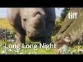 LONG LONG NIGHT Trailer | TIFF 2026