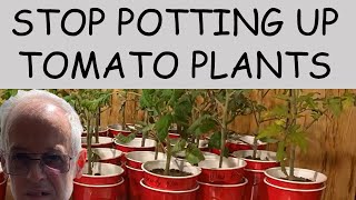 GROW STRONGER TOMATO PLANTS using the DOUBLE CUP METHOD