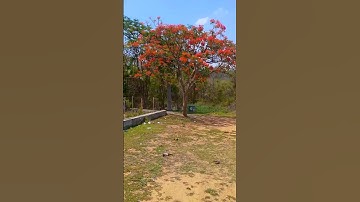 Aaj mera 10th board exam ka result aane Wala Hai 😶‍🌫️ #vlog #minivlog #shortvideo