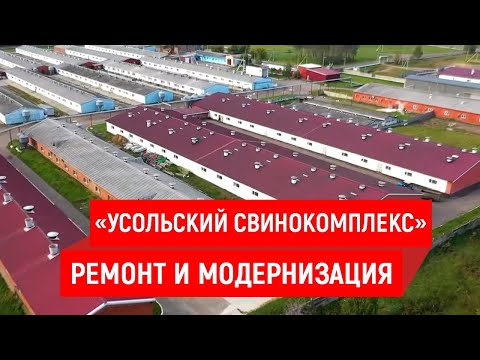 Видео: Ремонт в цехах СХПК «Усольский свинокомплекс»