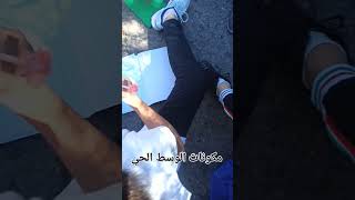 الوسط الحي