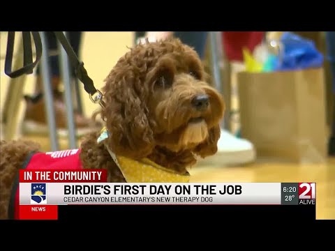 Birdie Blue's brings support, smiles to students of Cedar Canyon Elementary School