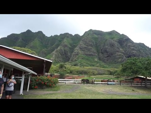 Video: Tshawb nrhiav Kualoa Ranch thiab Ka'a'awa Valley ntawm Oahu