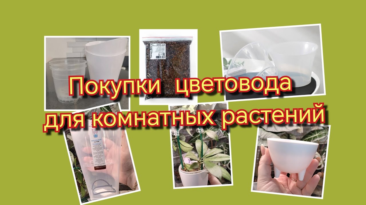 Покупки цветовода для комнатных растений