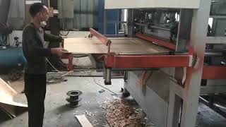 Plywood machine I Veneer jointing & sewing machine sinoeuro core veneer composer machine 2020