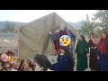 The suffering of a nomadic family in a tent and comforted by a kind woman