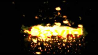 David Burning Text Test Net Worth