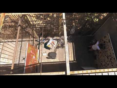 არტ აქცია-ფესტივალი — 168