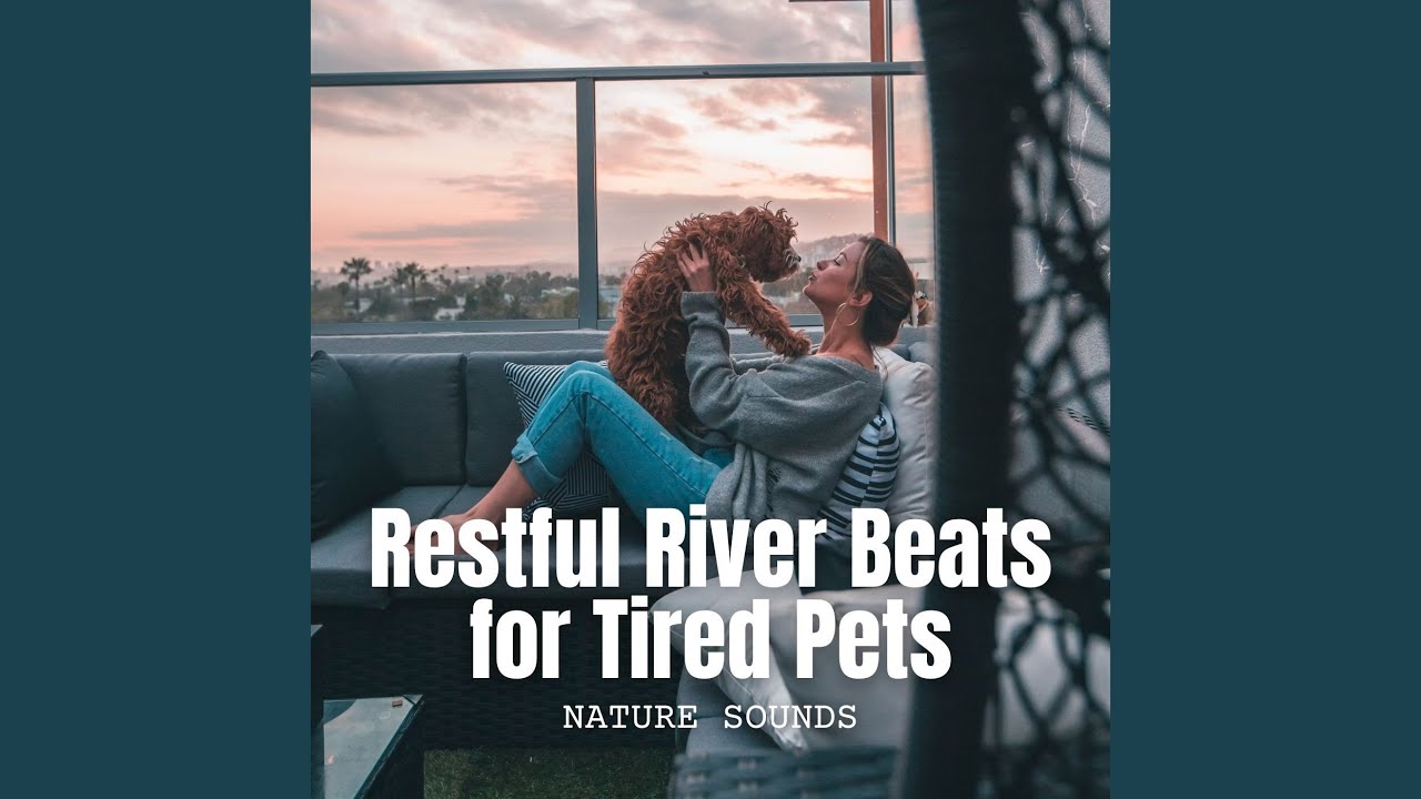 Tranquil Creek Serenade