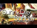 済美 Sunny Day Sunday 応援歌 チャンステーマ 2018夏 第100回 高校野球